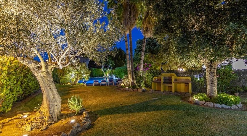 Photo of Wrapped in Green