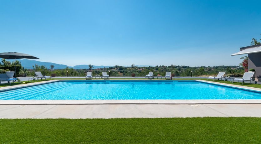 Photo of Chestnut Mare