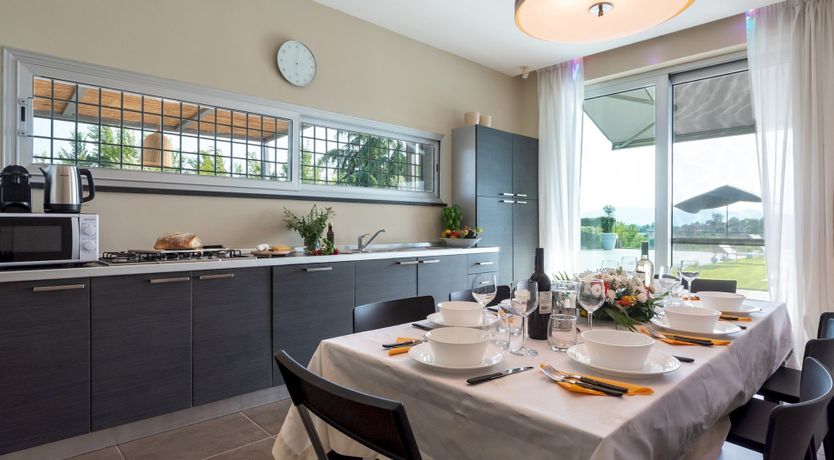 Photo of Chestnut Mare