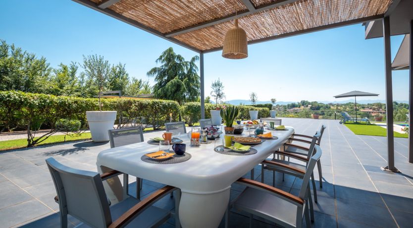 Photo of Chestnut Mare