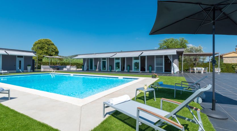 Photo of Chestnut Mare