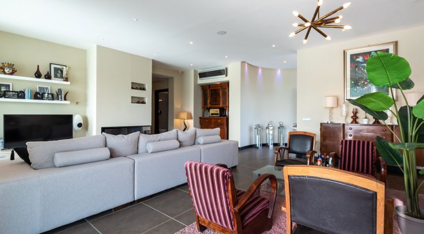 Photo of Chestnut Mare