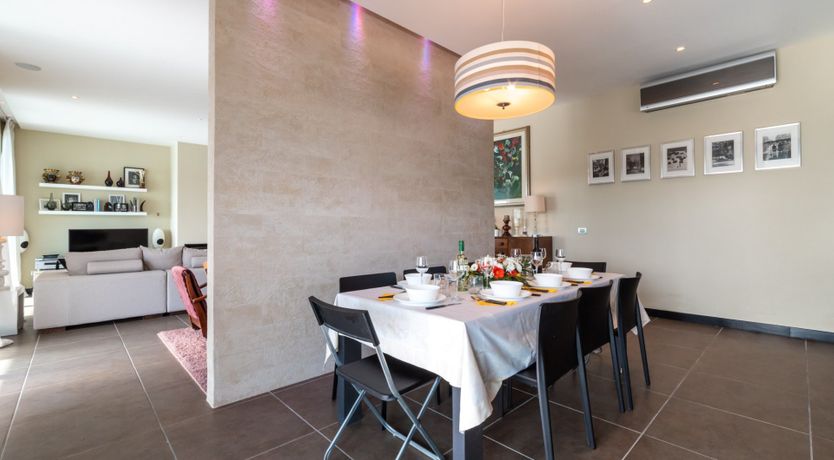 Photo of Chestnut Mare