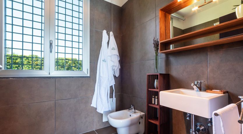 Photo of Chestnut Mare