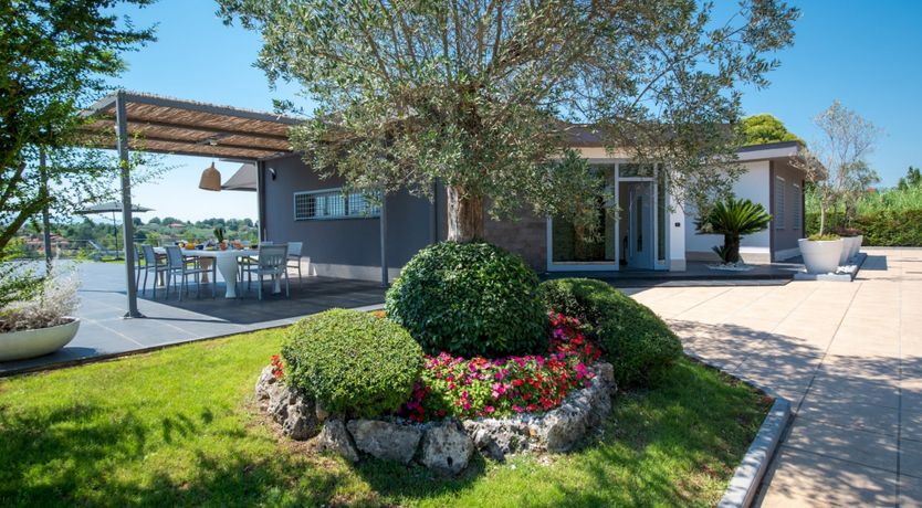 Photo of Chestnut Mare