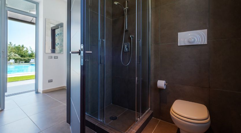 Photo of Chestnut Mare