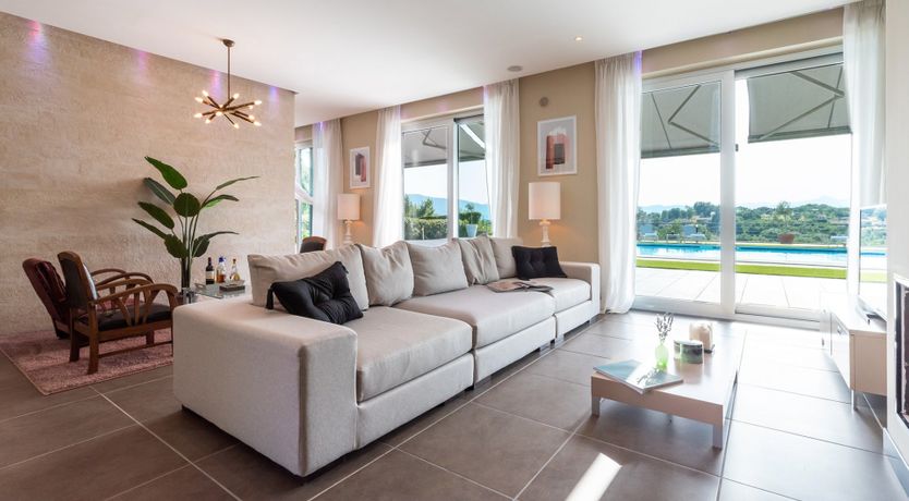 Photo of Chestnut Mare