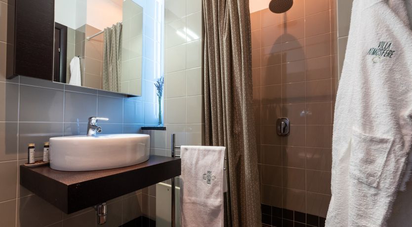 Photo of Chestnut Mare