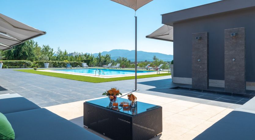 Photo of Chestnut Mare