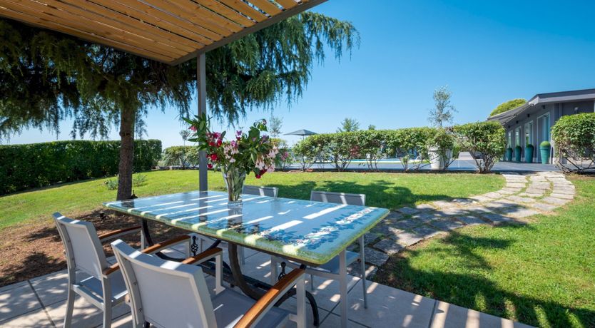 Photo of Chestnut Mare