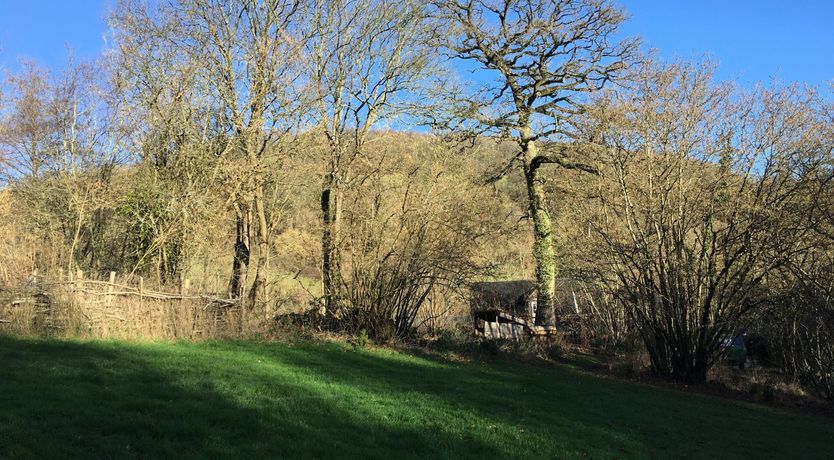 Photo of Nature's Joy