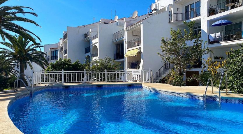 Photo of Palm Trees & Sunny Seas