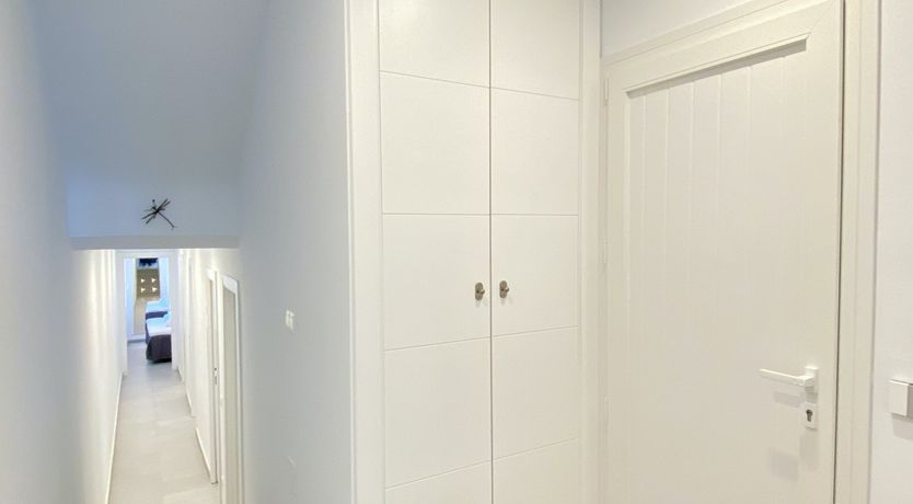 Photo of Palm Trees & Sunny Seas