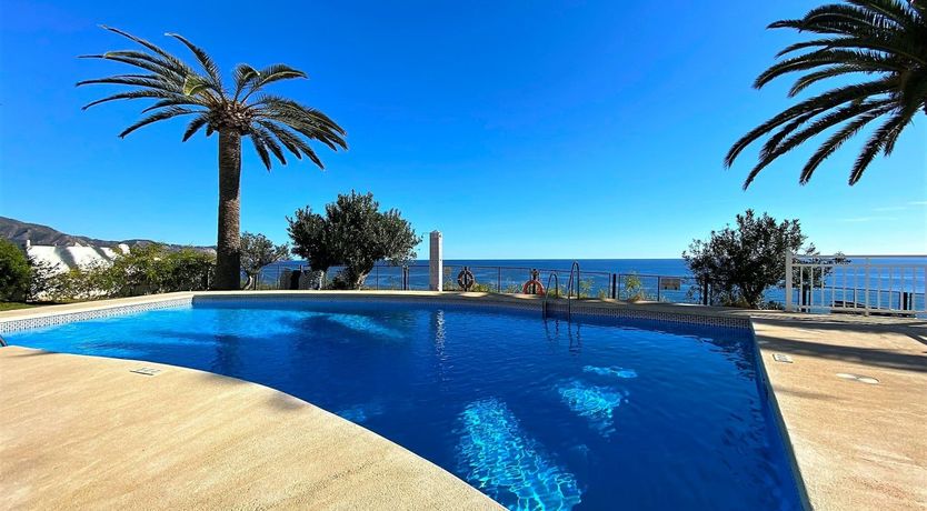 Photo of Palm Trees & Sunny Seas