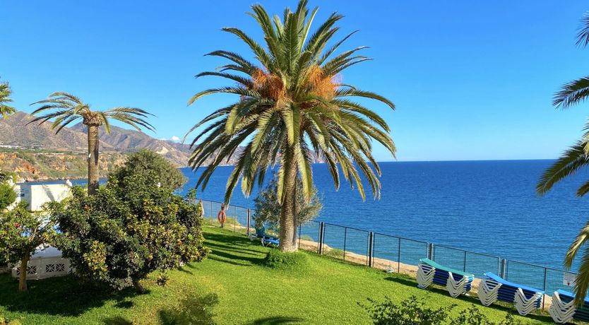 Photo of Palm Trees & Sunny Seas