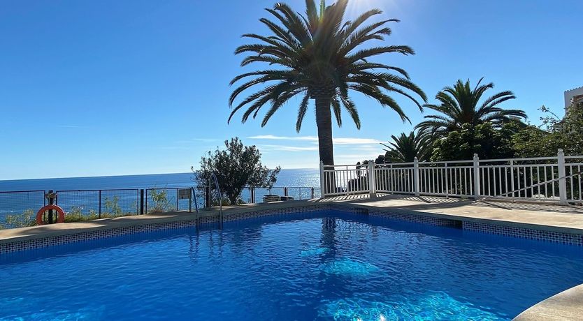 Photo of Palm Trees & Sunny Seas