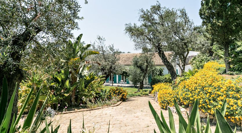 Photo of Nausicaa's Tale