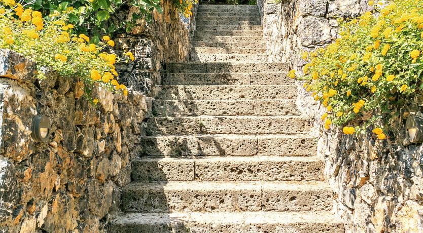 Photo of Nausicaa's Tale