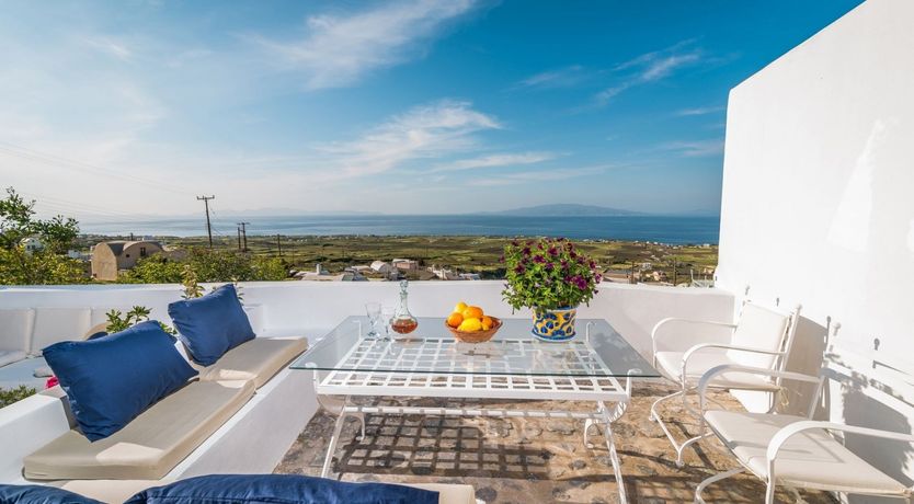 Photo of Everlasting Sweetpeas