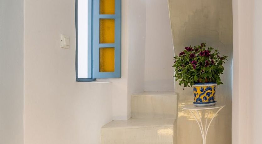 Photo of Everlasting Sweetpeas