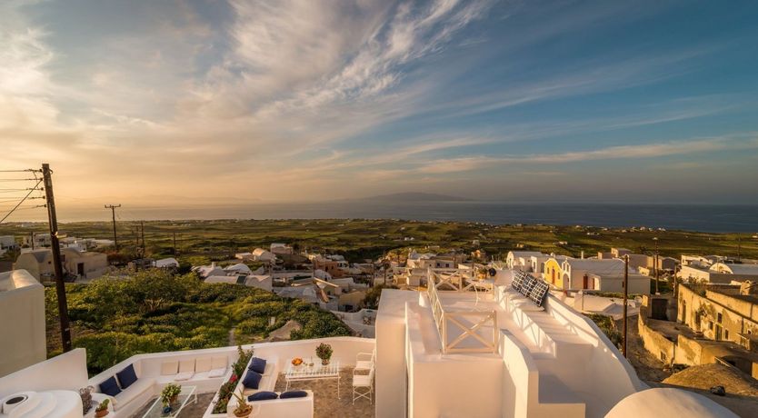 Photo of Everlasting Sweetpeas