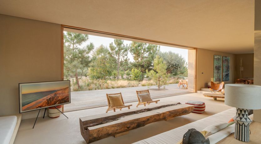 Photo of Mighty Pine