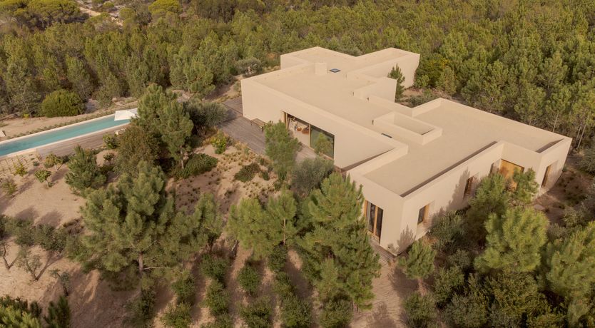 Photo of Mighty Pine