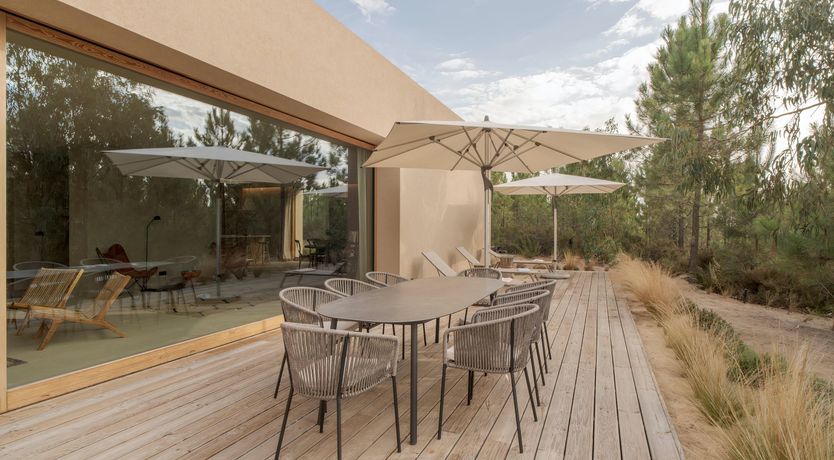 Photo of Mighty Pine