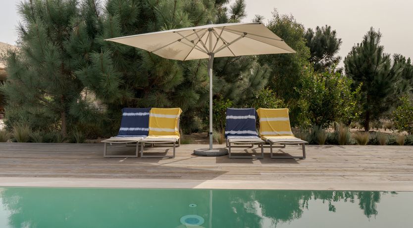 Photo of Mighty Pine