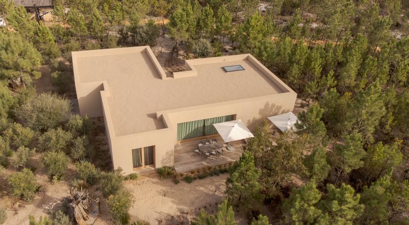 Photo of Mighty Pine