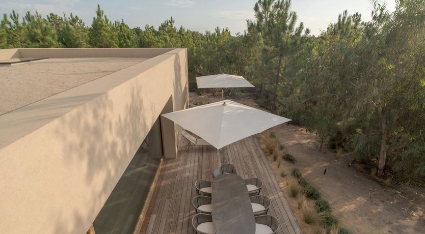 Photo of Mighty Pine