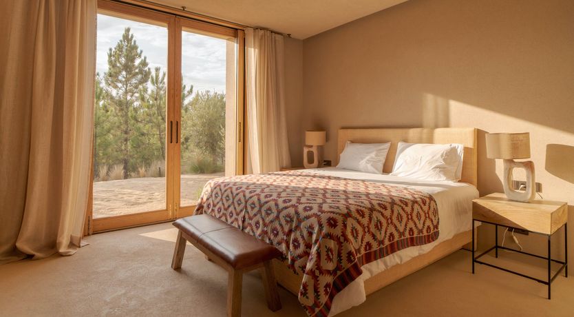 Photo of Mighty Pine