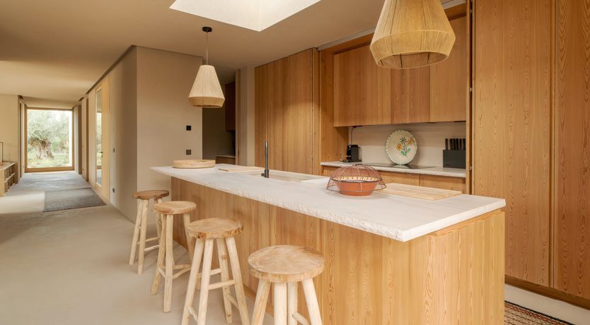 Photo of Mighty Pine