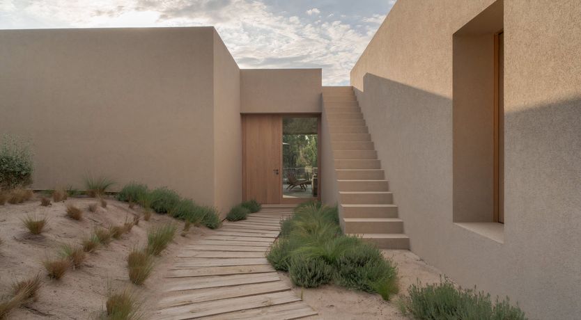 Photo of Mighty Pine