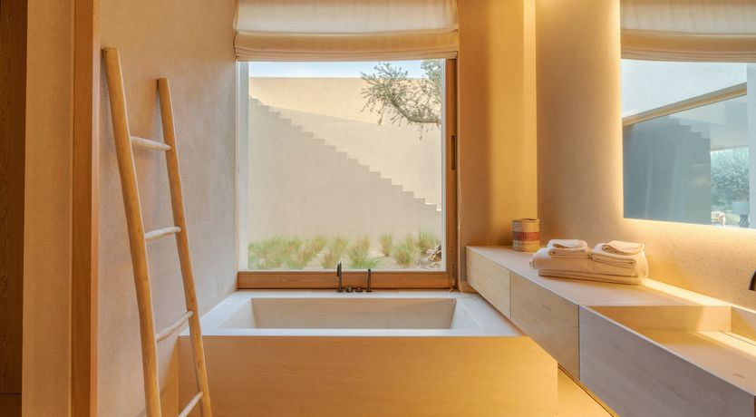 Photo of Mighty Pine