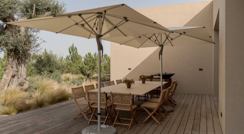 Photo of Mighty Pine