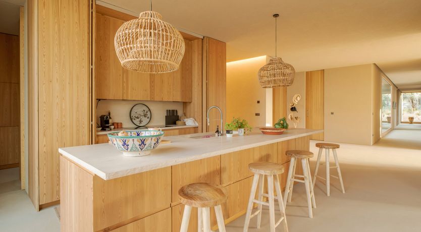 Photo of Mighty Pine