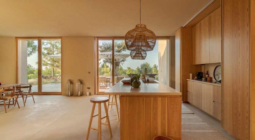 Photo of Mighty Pine