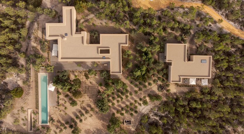 Photo of Mighty Pine