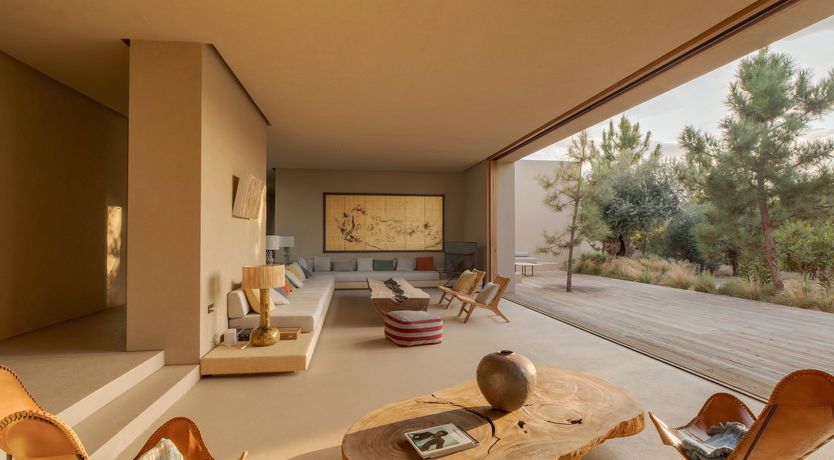 Photo of Mighty Pine