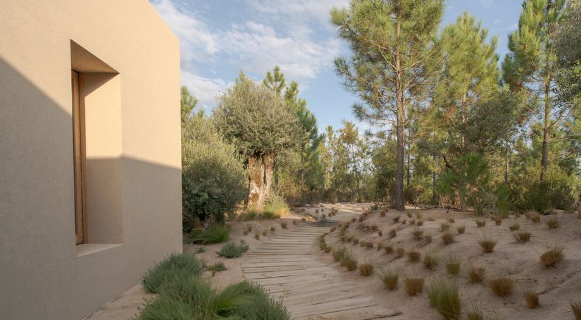 Photo of Mighty Pine