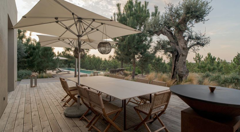 Photo of Mighty Pine