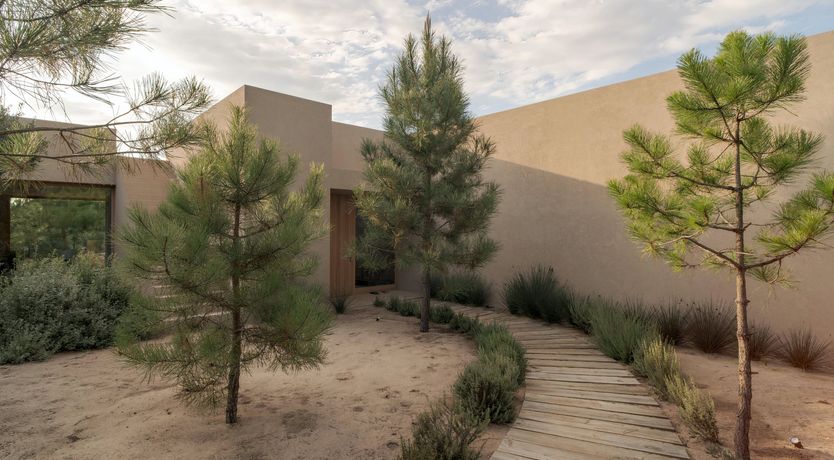 Photo of Mighty Pine