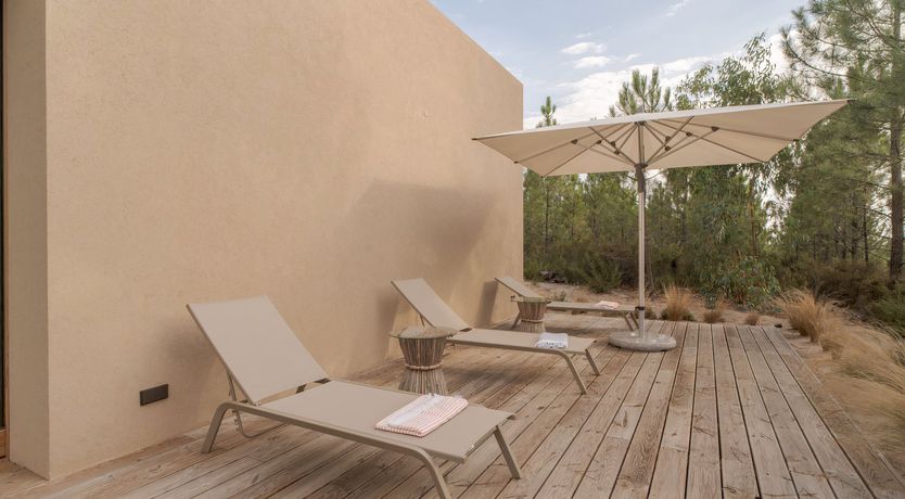 Photo of Mighty Pine