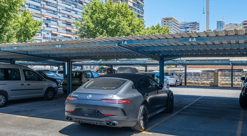 Photo of The Lady in Gold