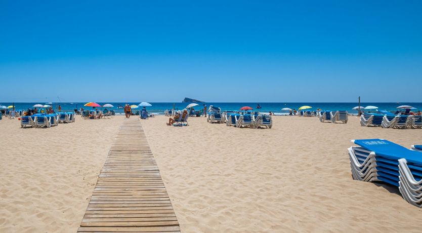 Photo of The Lady in Gold