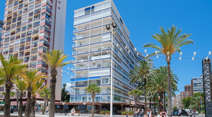 Photo of The Lady in Gold