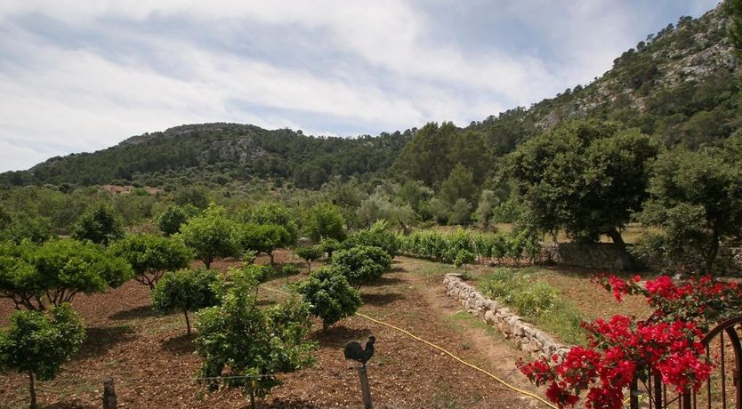 Photo of Terracotta & Turquoise