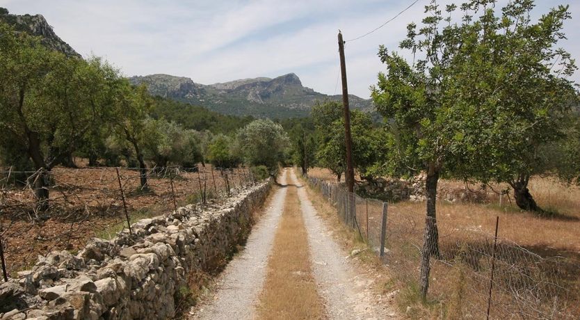 Photo of Terracotta & Turquoise