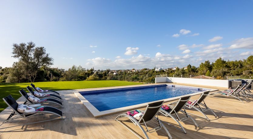 Photo of Sunshine & Butterflies